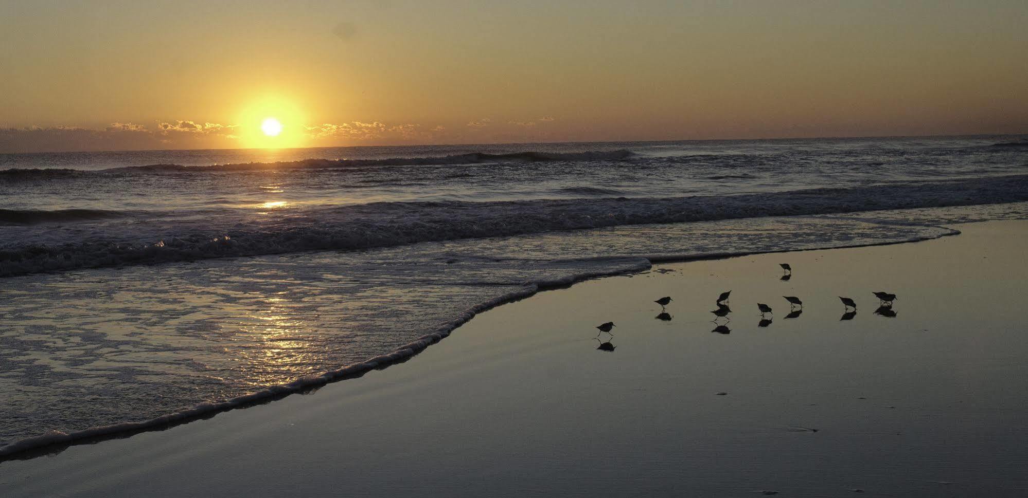 Club Sea Oats By Capital Vacations Motel Daytona Beach Shores Eksteriør billede